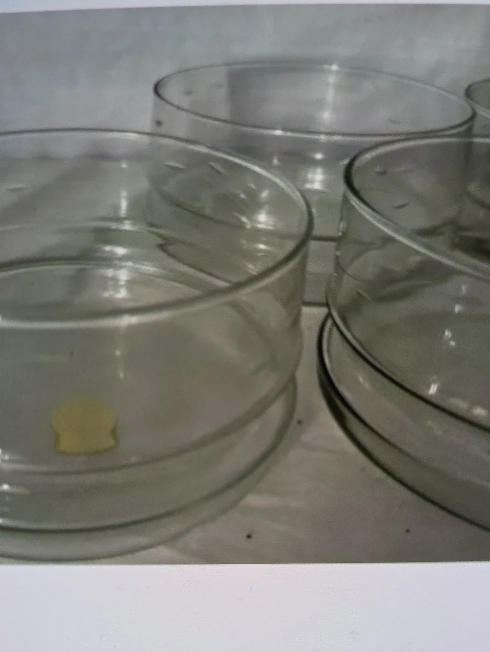 Clear Glass Salad Bowls - 4 Pack